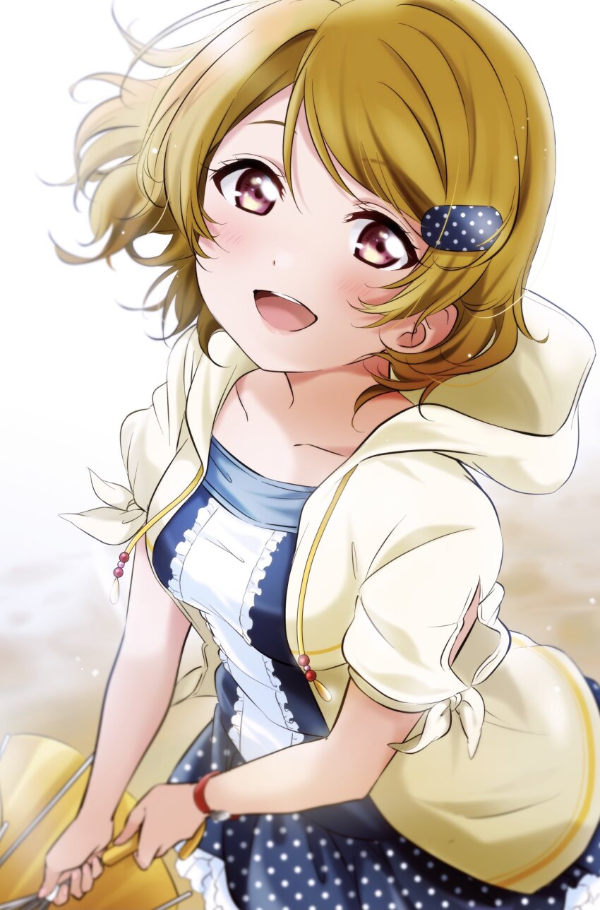 Koizumi Hanayo (Love Live!) Rule 34 Image