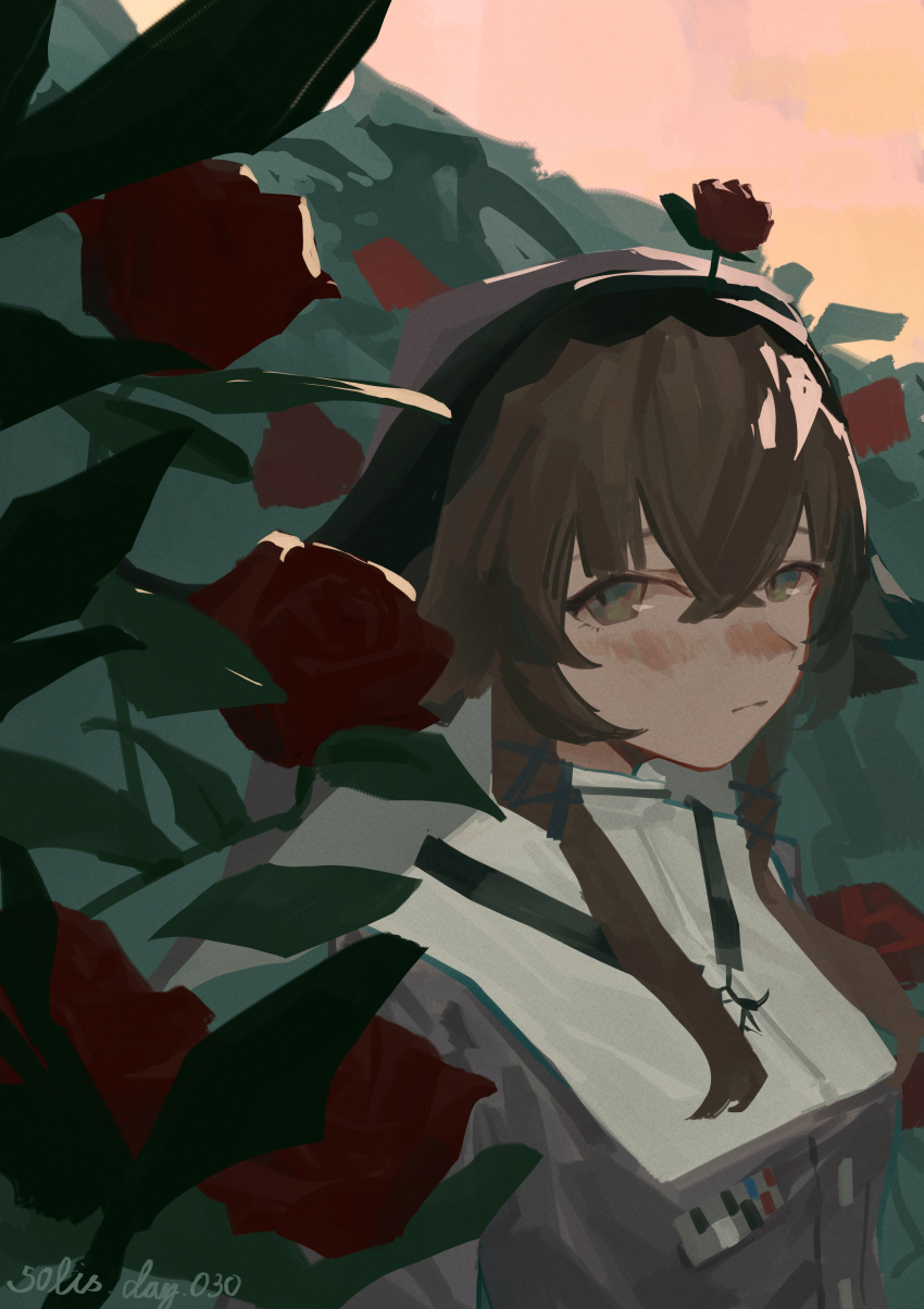 Pallas (Arknights) Rule 34 Image