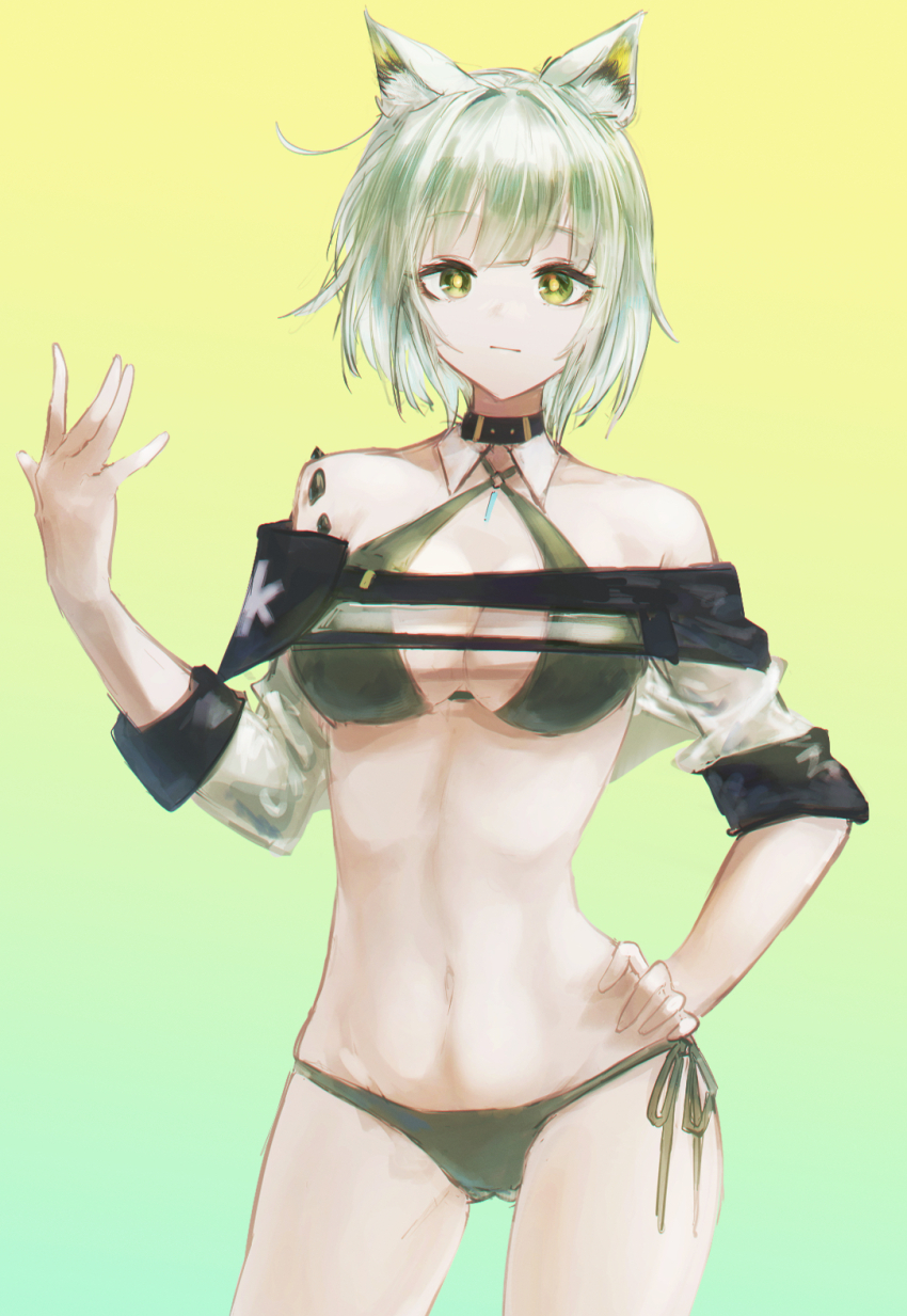 Kal'Tsit (Arknights) Rule 34 Image