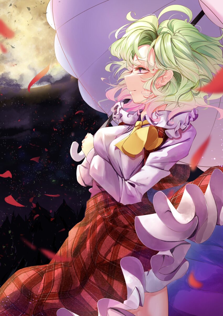Kazami Yuuka (Touhou) Rule 34 Image
