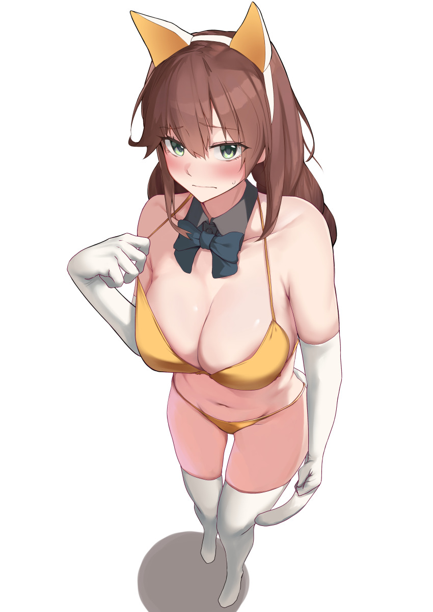 Kantai Collection Rule 34 Image