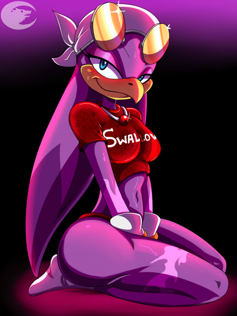 Wave The Swallow (Sonic (Series)) Rule 34 Image