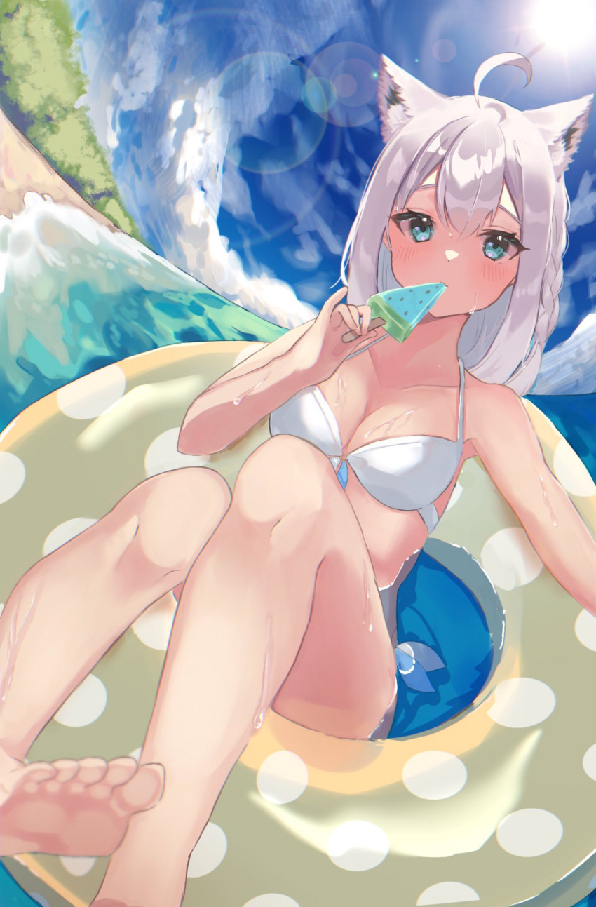 Shirakami Fubuki (Hololive) Rule 34 Image
