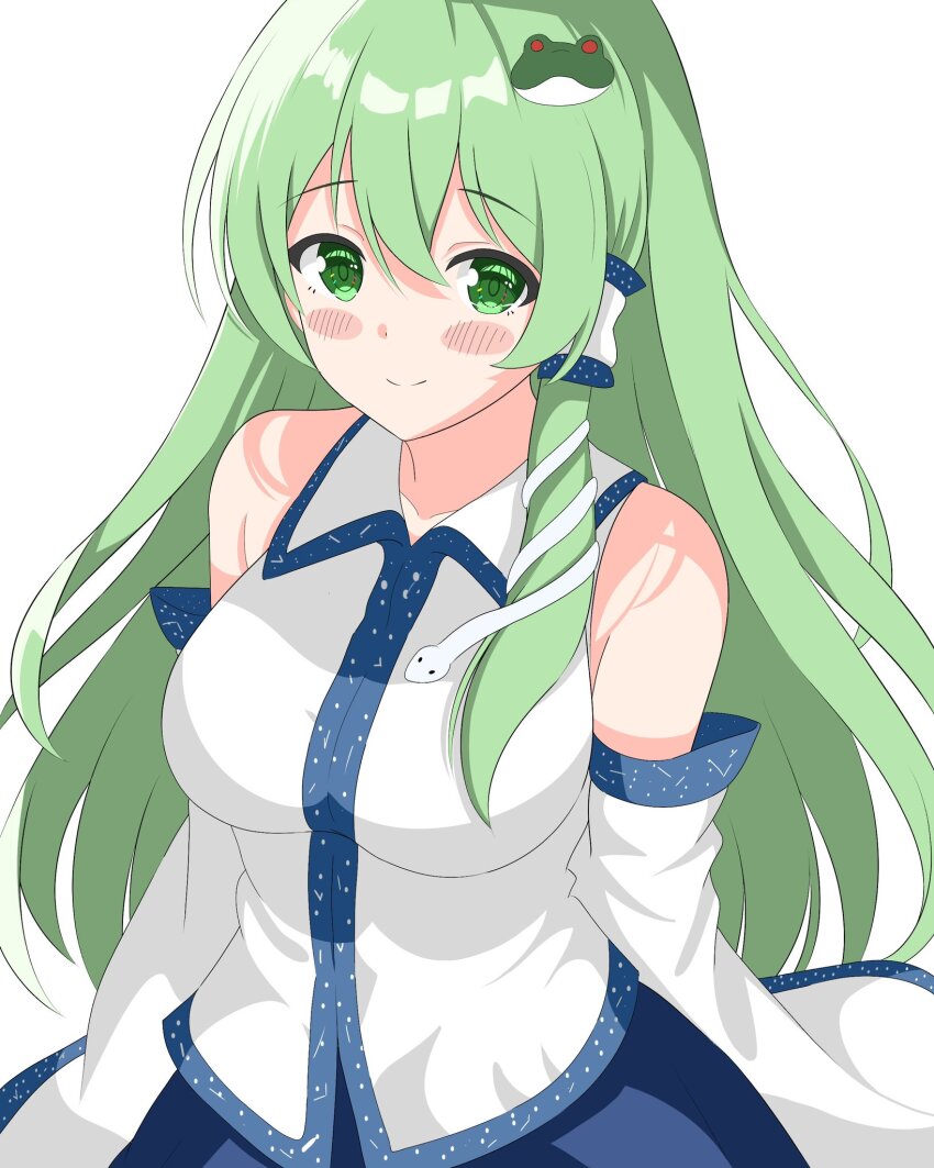 Kochiya Sanae (Touhou) Rule 34 Image