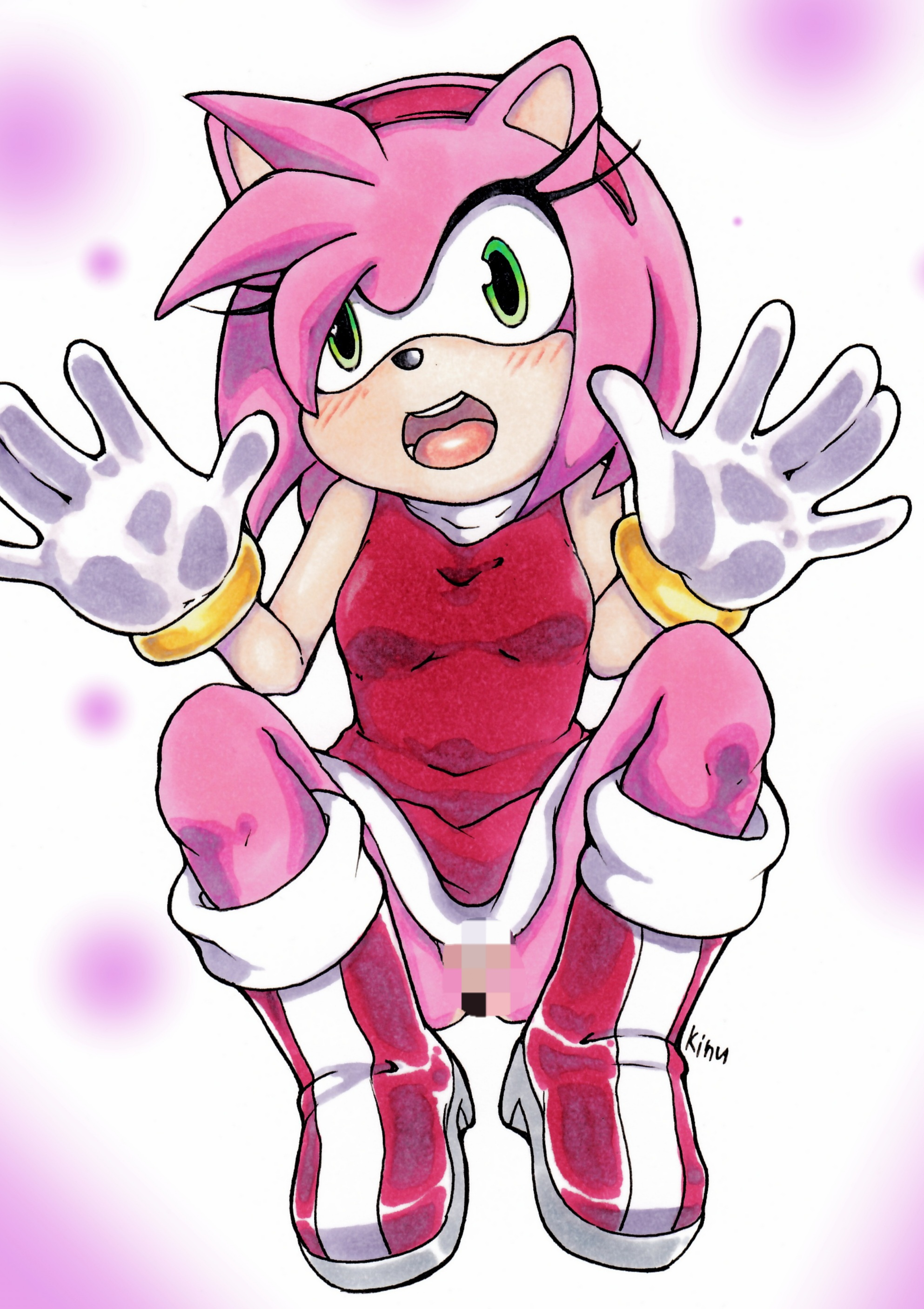 Amy Rose (Sega) Rule 34 Image