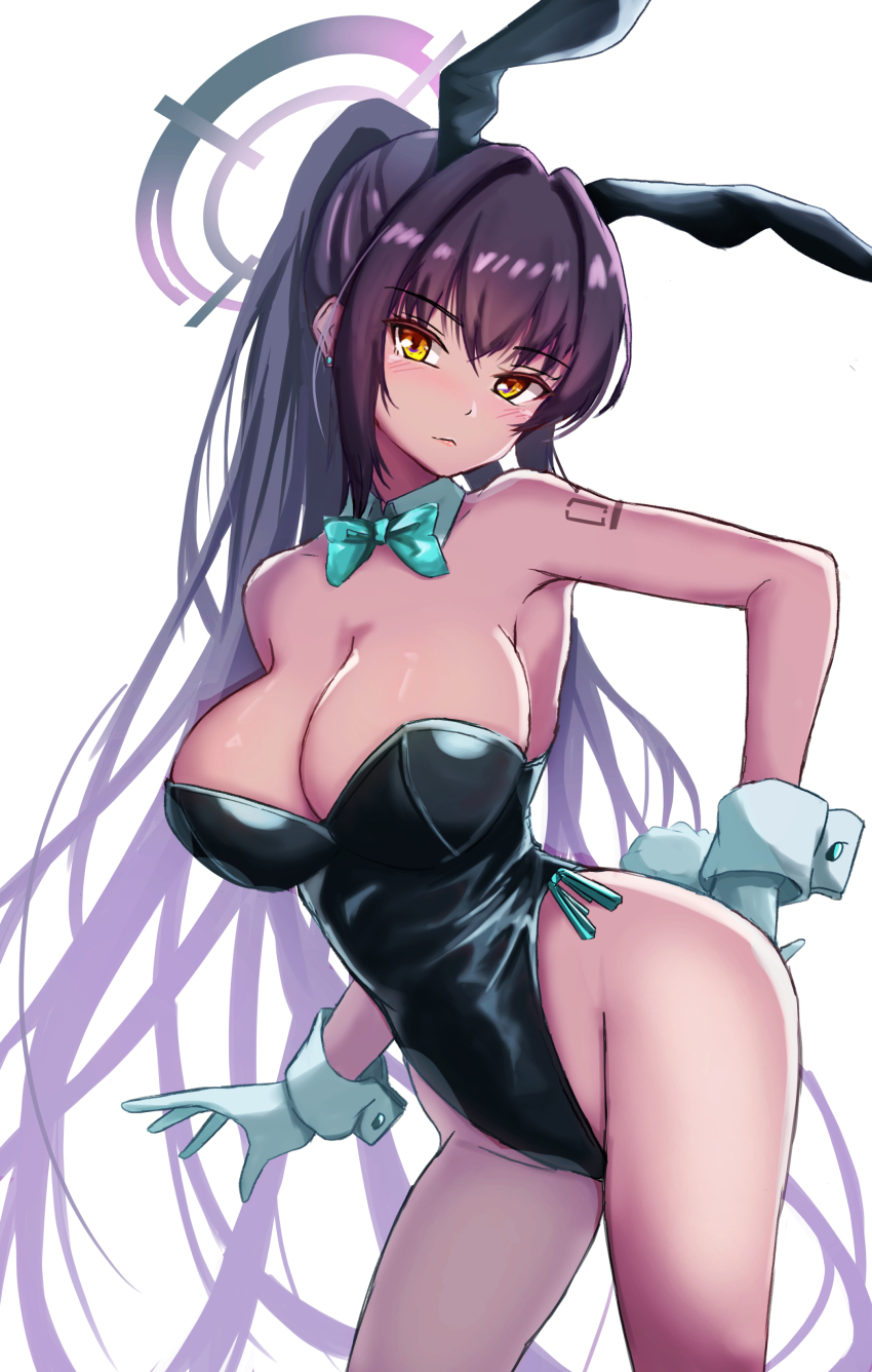 Karin (Blue Archive) Rule 34 Image