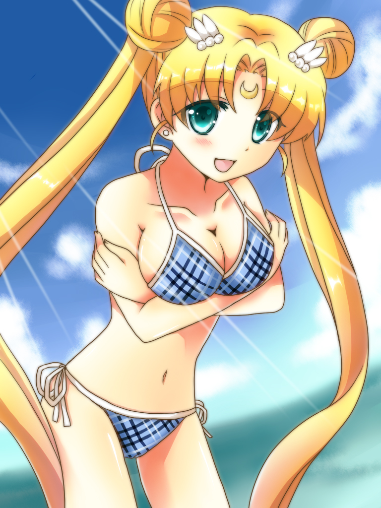 Sailor Moon (Bishoujo Senshi Sailor Moon) Rule 34 Image