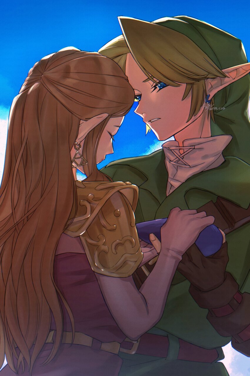 Link (Nintendo) Rule 34 Image