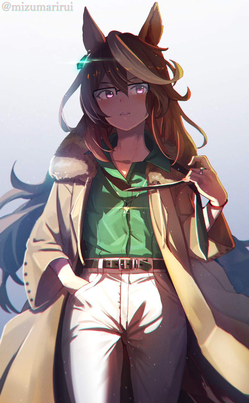 Symboli Rudolf (Umamusume) Rule 34 Image