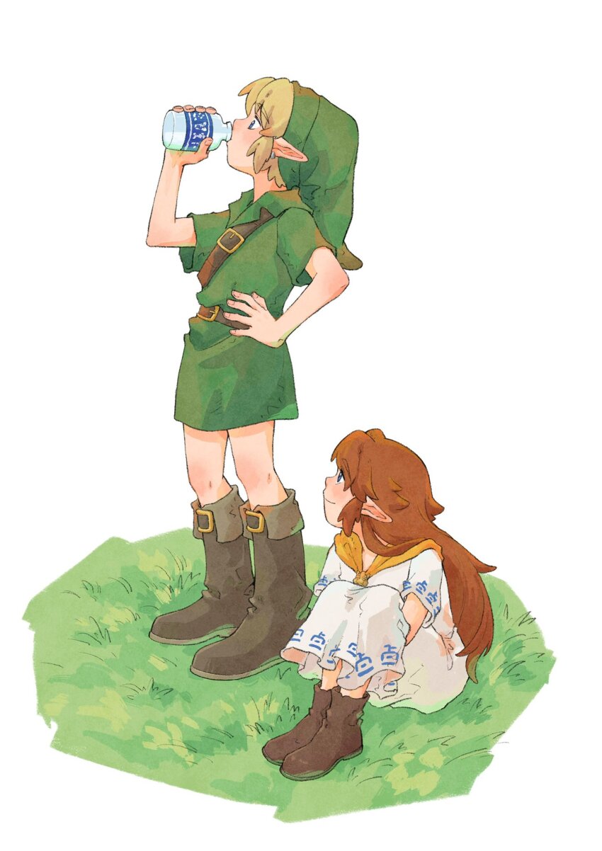 Link (Nintendo) Rule 34 Image