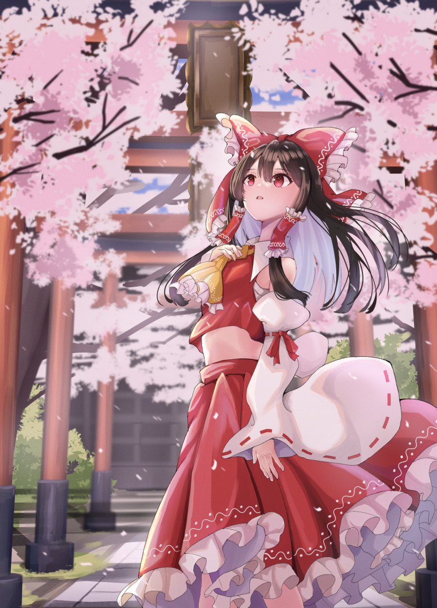 Hakurei Reimu (Touhou) Rule 34 Image