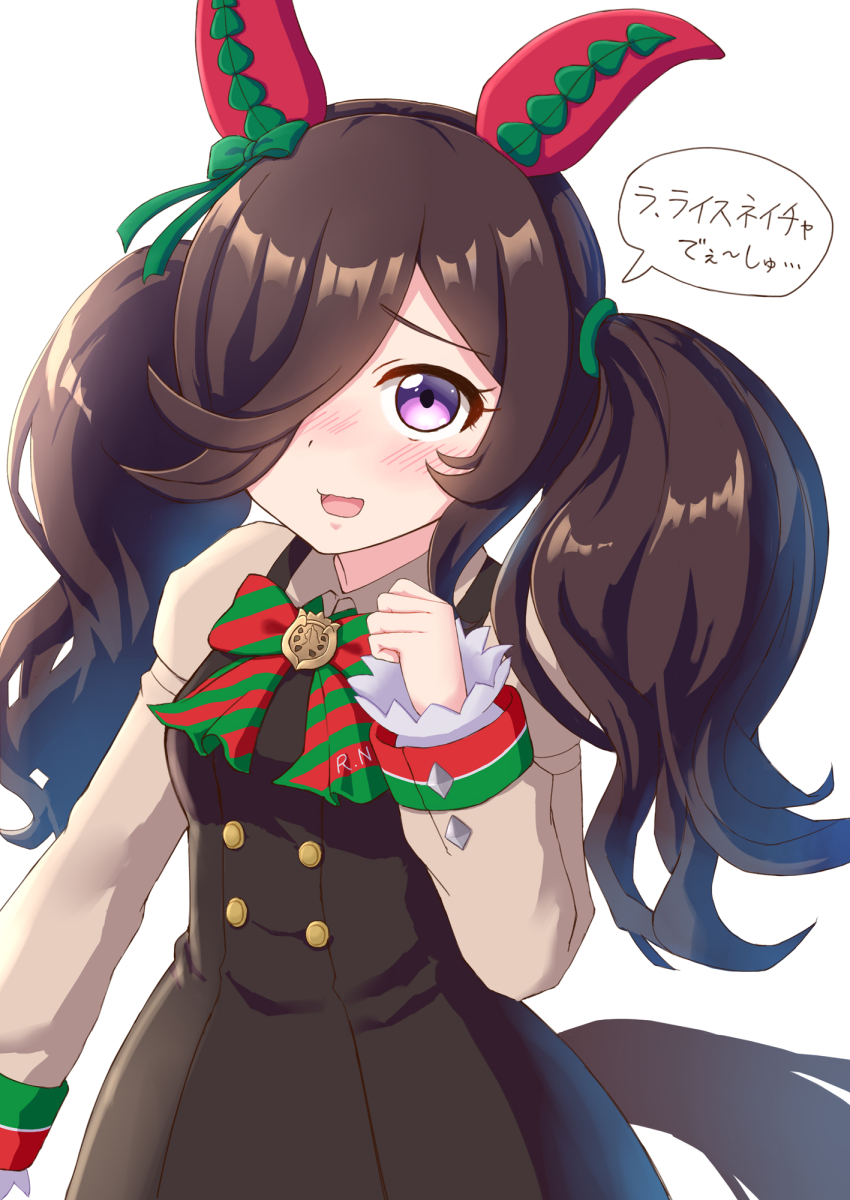 Nice Nature (Umamusume) Rule 34 Image