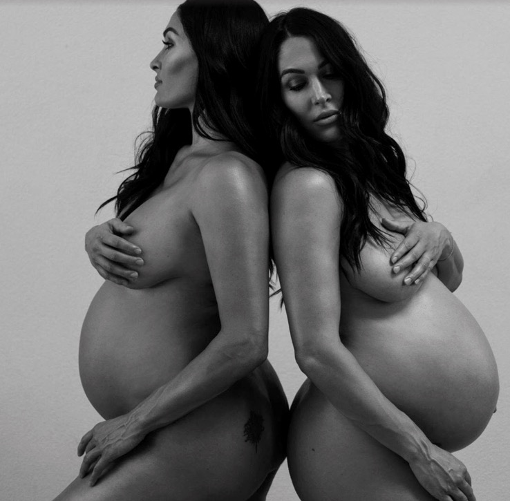 Nikki Bella (Wwe) Rule 34 Image