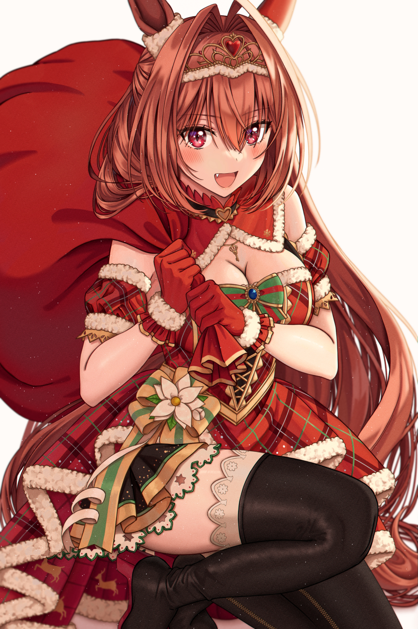 Daiwa Scarlet (Scarlet Nuit Etoile) (Umamusume) Rule 34 Image