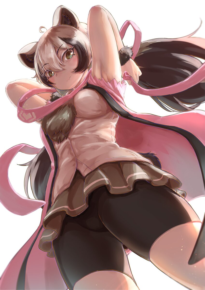 Ezo Brown Bear (Kemono Friends) Rule 34 Image