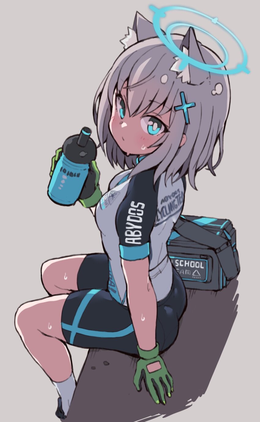 Shiroko (Blue Archive) Rule 34 Image