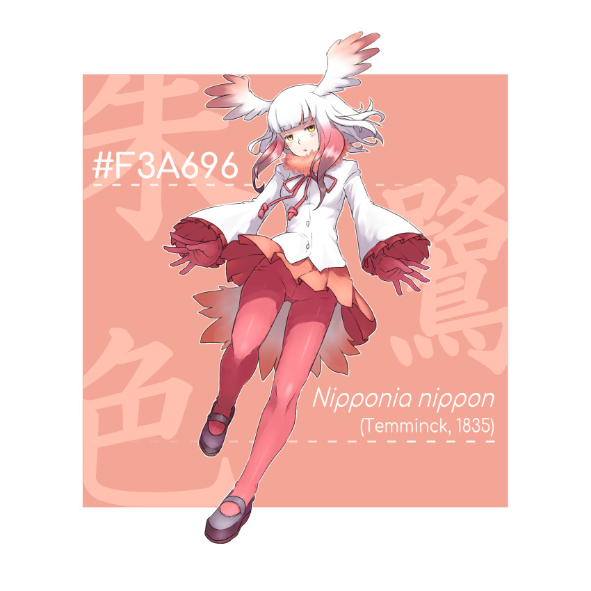 Japanese Crested Ibis (Kemono Friends) Rule 34 Image