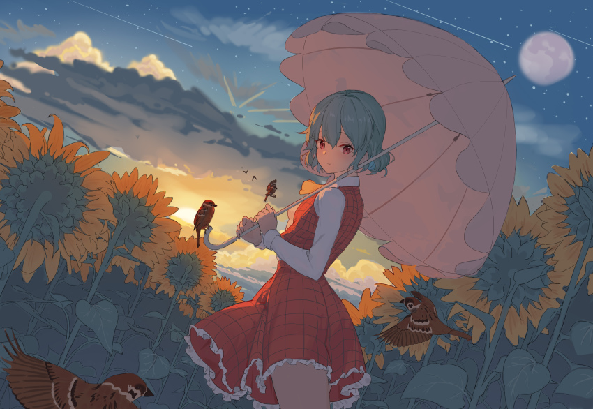 Kazami Yuuka (Touhou) Rule 34 Image