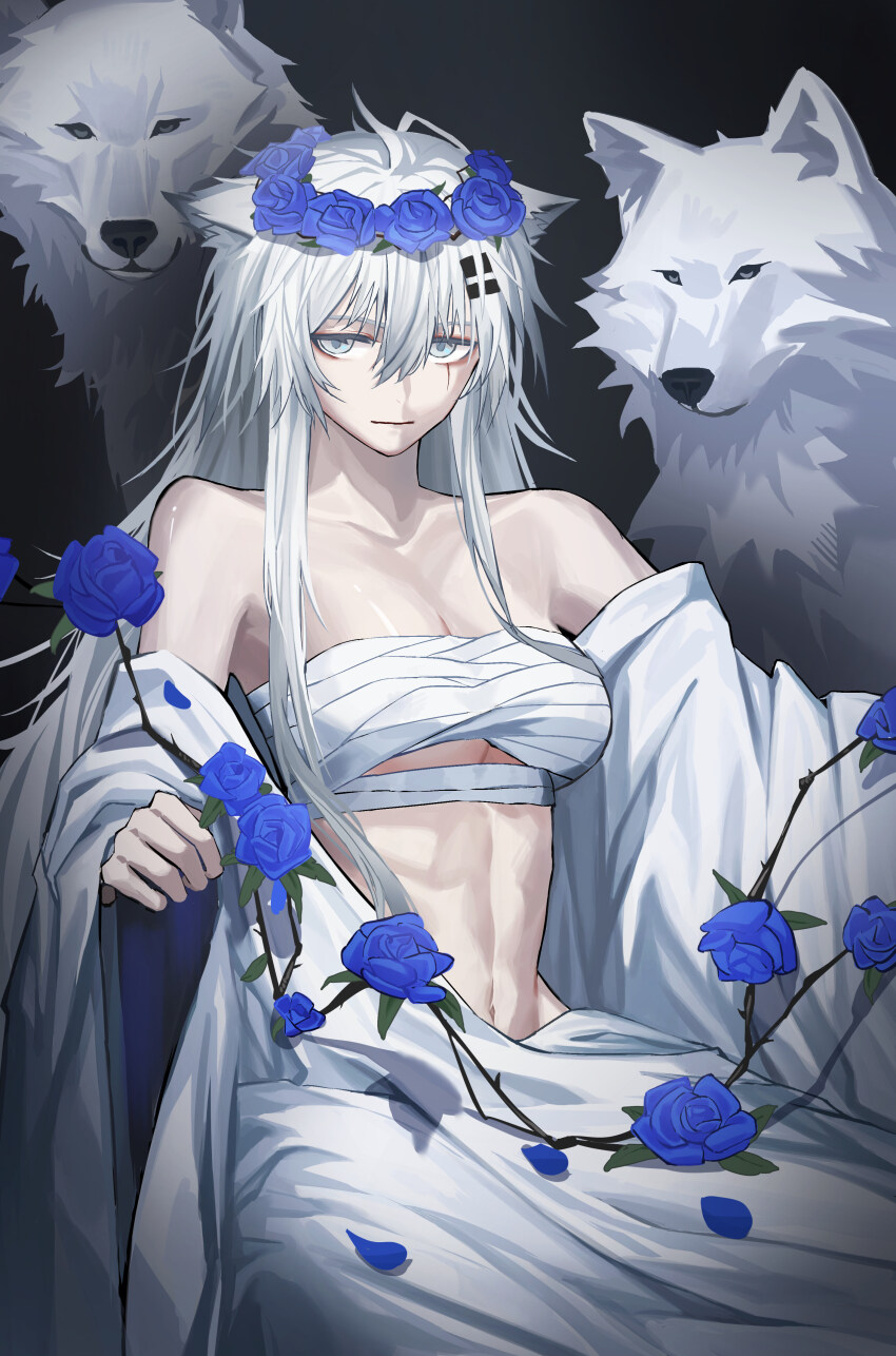 Lappland (Arknights) Rule 34 Image