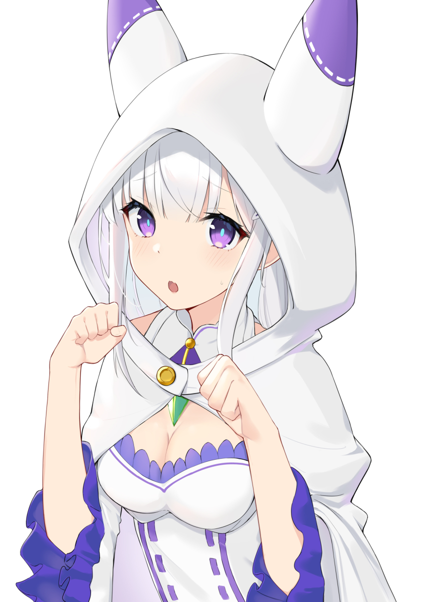 Emilia (Re:Zero) Rule 34 Image