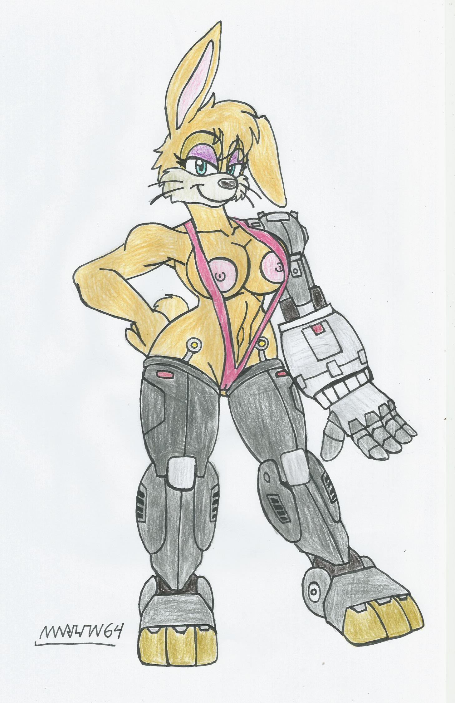 Bunnie Rabbot (Sonic (Series)) Rule 34 Image