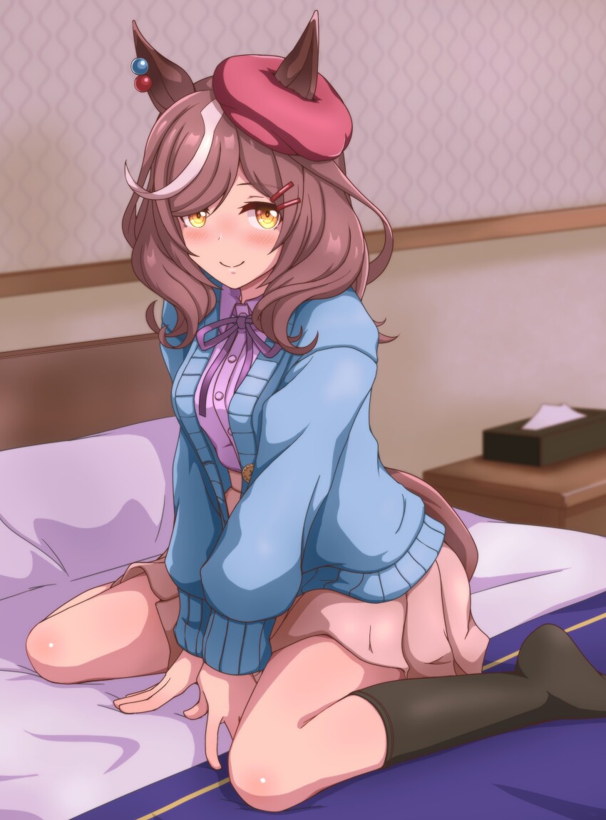 Umamusume Rule 34 Image