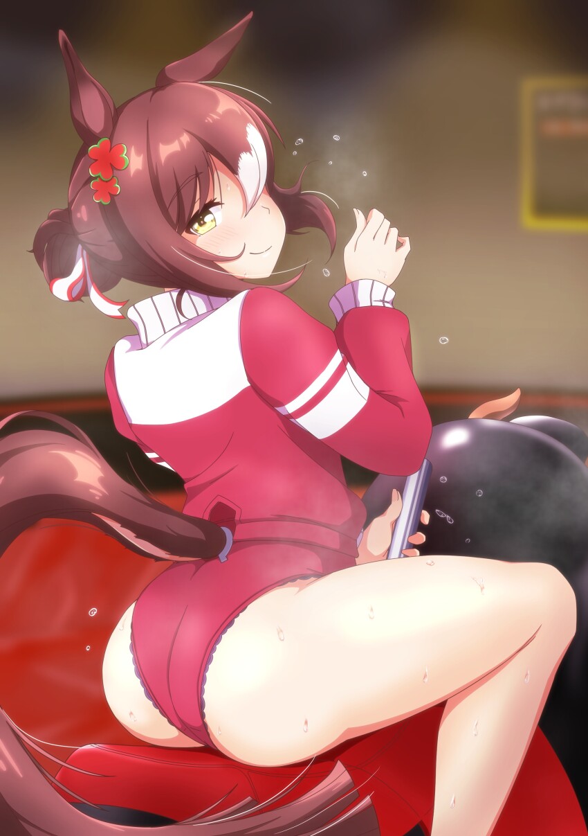 Fine Motion (Umamusume) Rule 34 Image