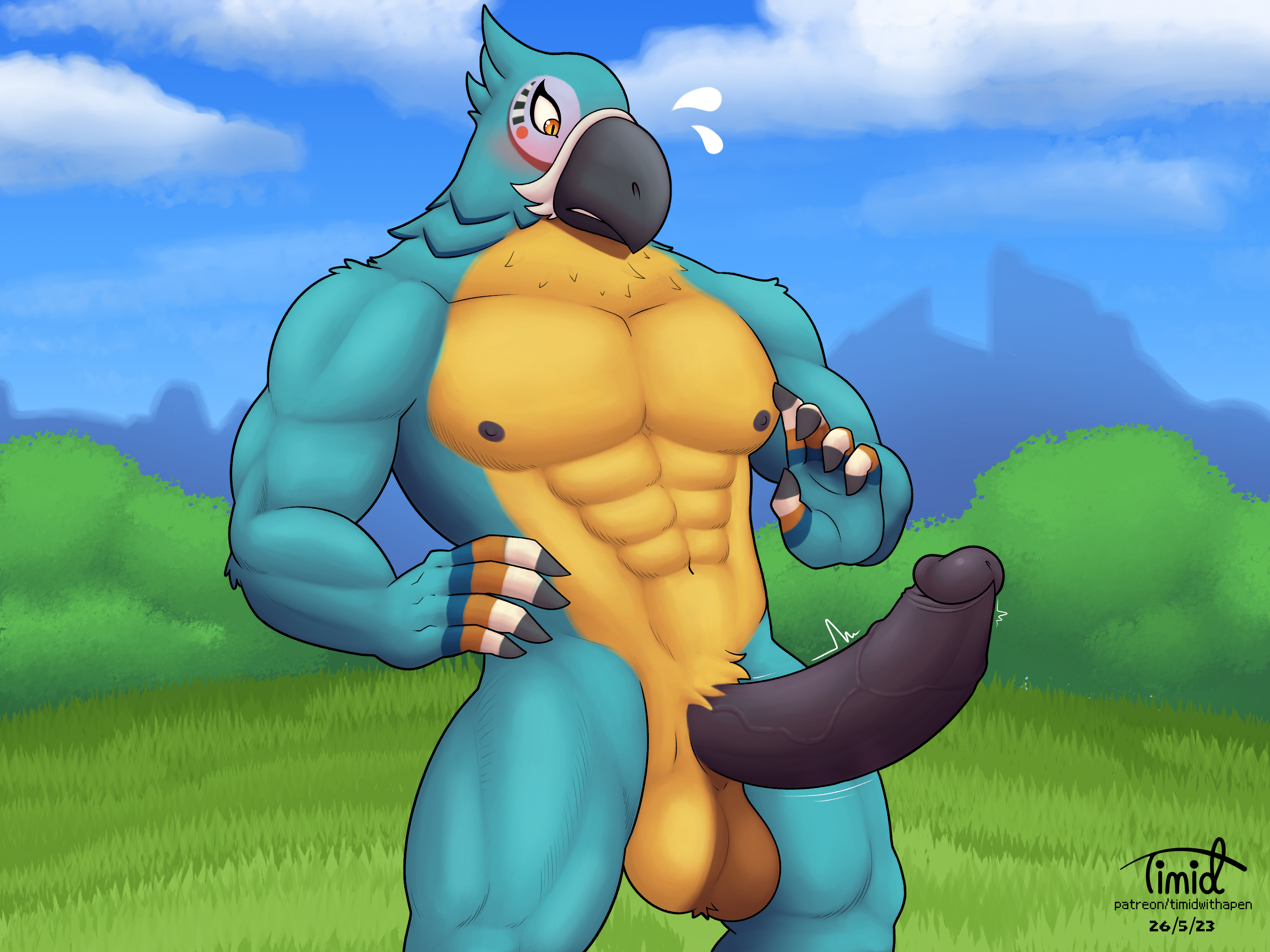 Kass (Zelda) Rule 34 Image