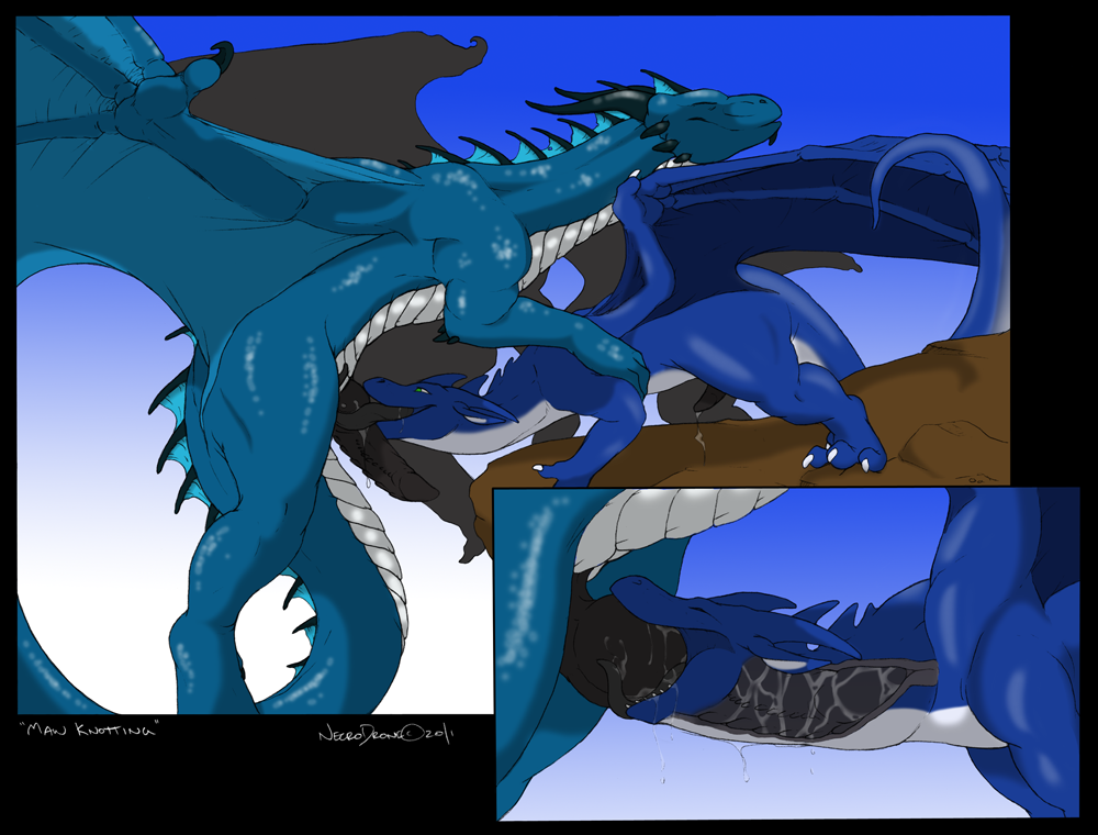 Firondraak Rule 34 Image