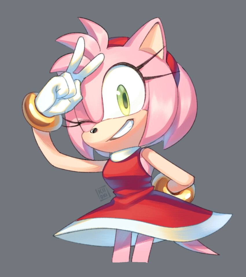 Amy Rose (Sonic (Series)) Rule 34 Image