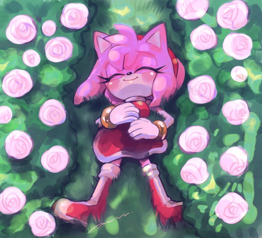 Amy Rose (Sonic (Series)) Rule 34 Image