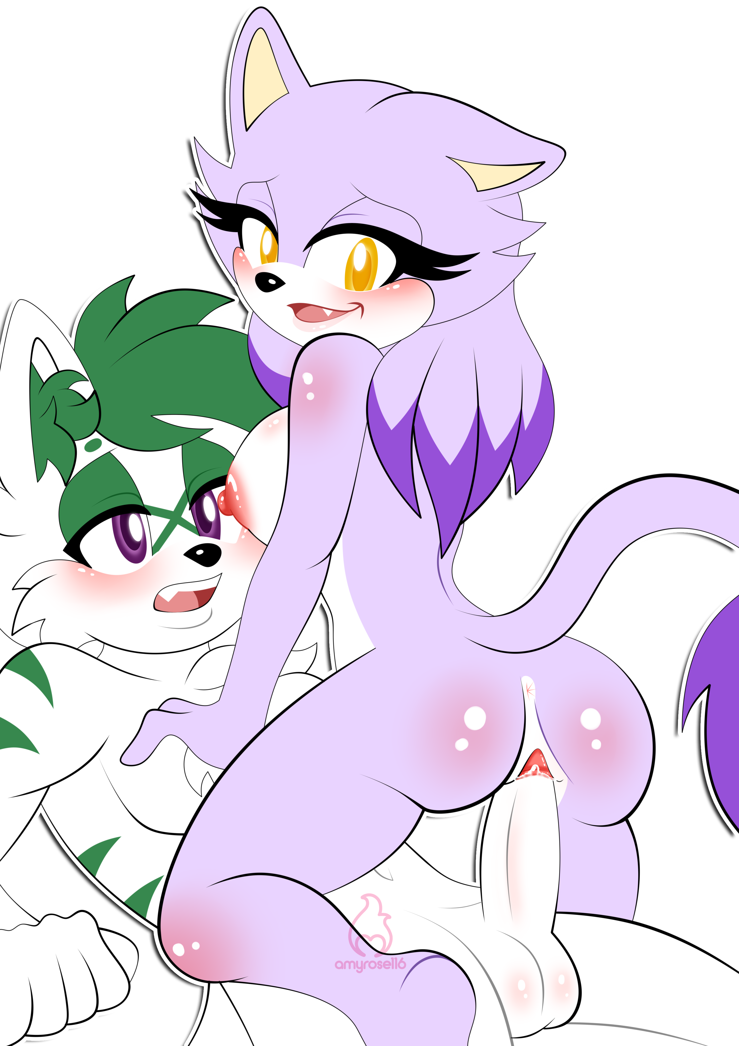 Blaze The Cat (Sega) Rule 34 Image