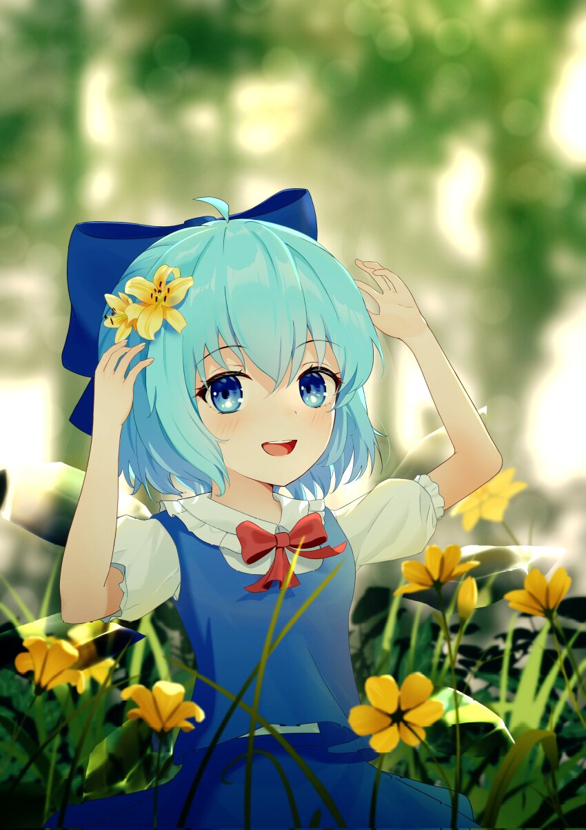 Cirno (Touhou) Rule 34 Image