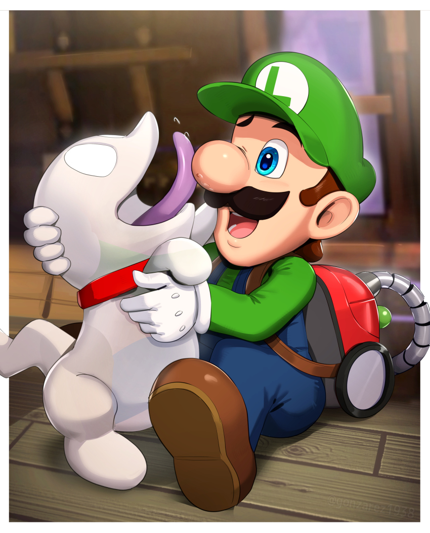 Luigi (Luigi'S Mansion) Rule 34 Image