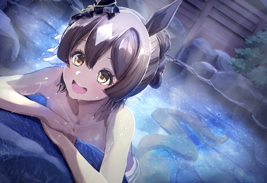 Satono Diamond (Umamusume) Rule 34 Image