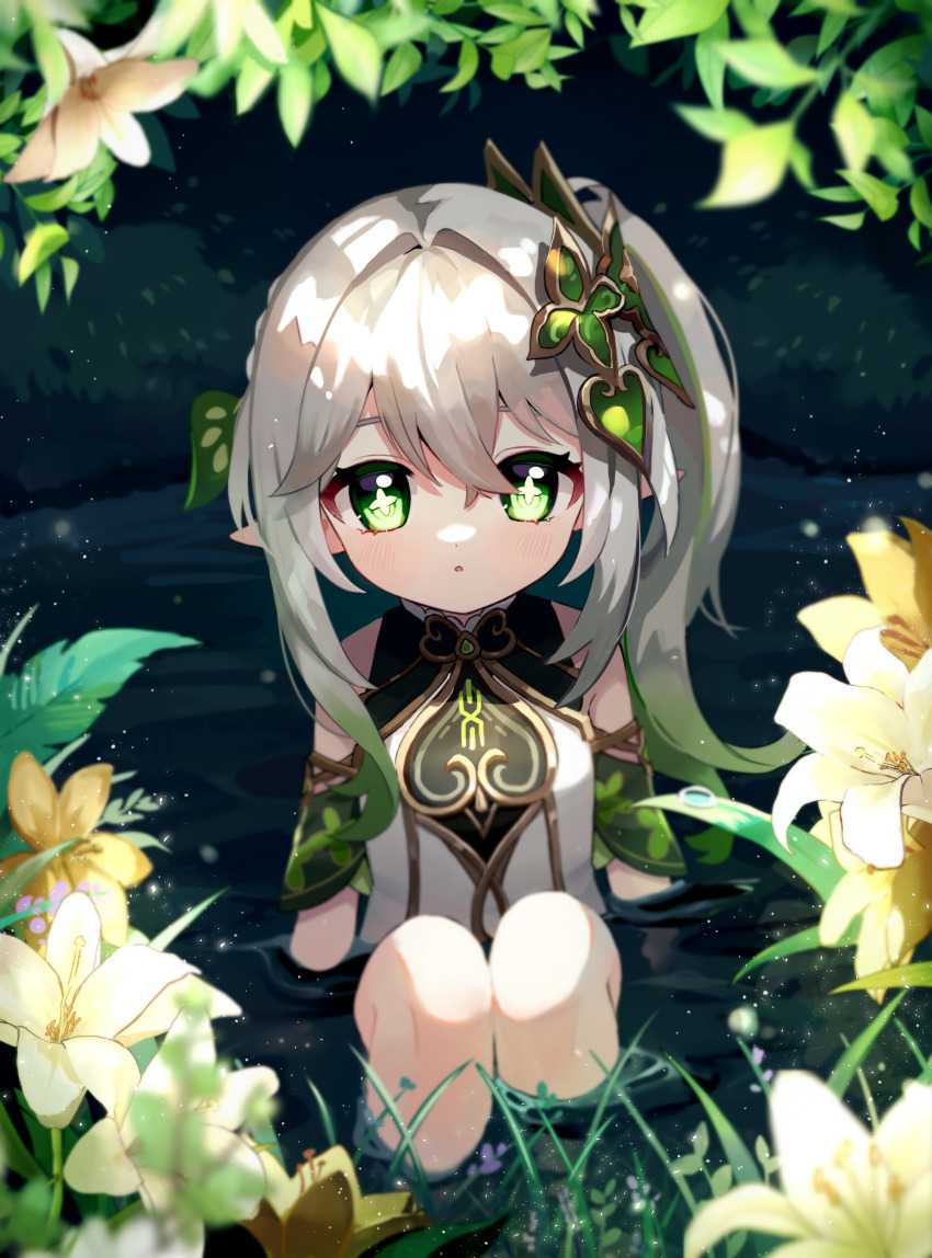 Nahida (Genshin Impact) Rule 34 Image