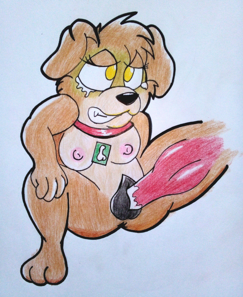 Tarot (Housepets!) Rule 34 Image