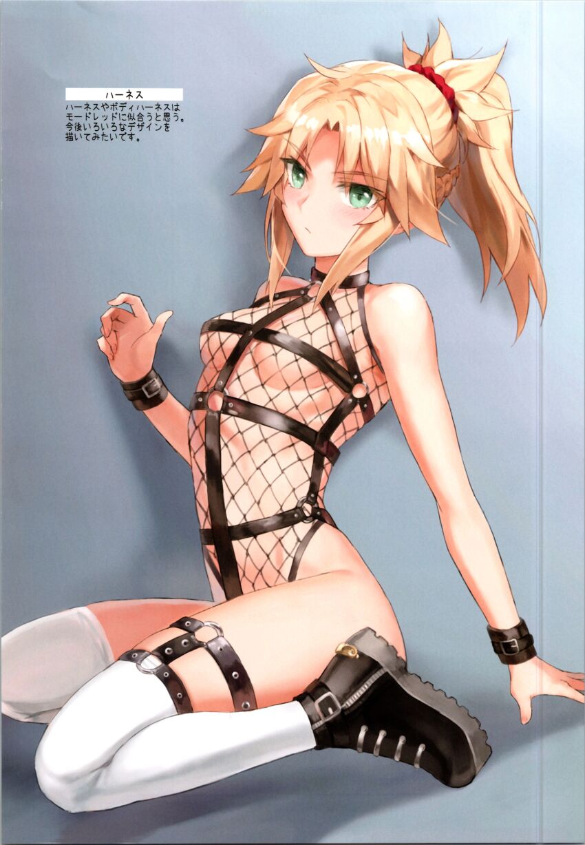 Mordred (Fate) Rule 34 Image