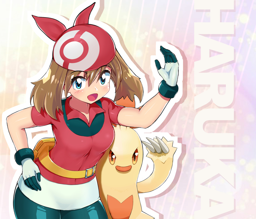 Combusken (Nintendo) Rule 34 Image