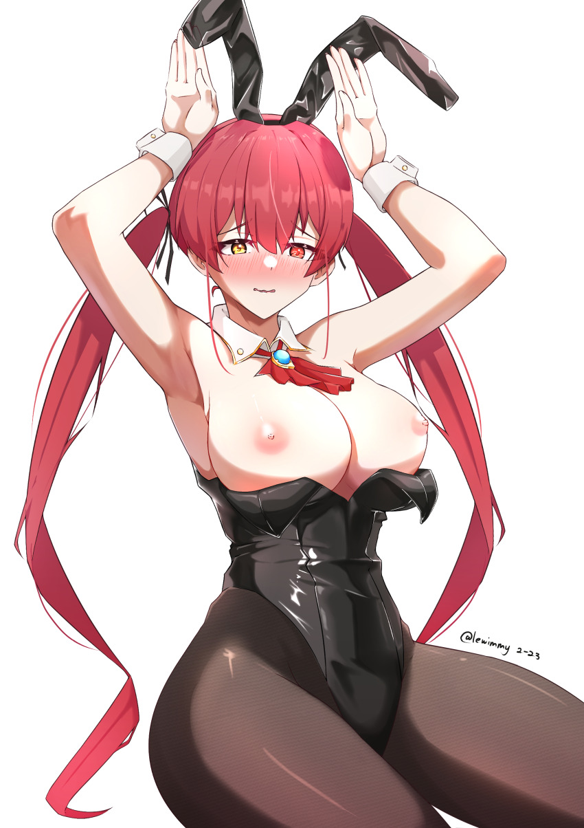 Houshou Marine (Hololive) Rule 34 Image
