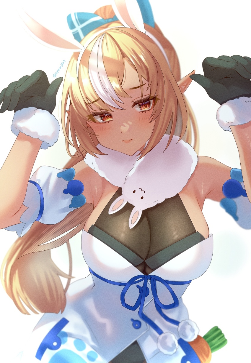 Don-Chan (Usada Pekora) Rule 34 Image