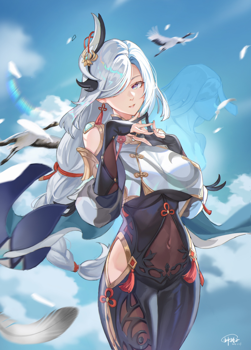 Shenhe (Genshin Impact) Rule 34 Image
