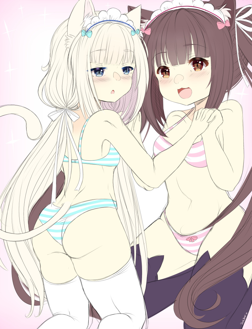 Chocola (Nekopara) Rule 34 Image