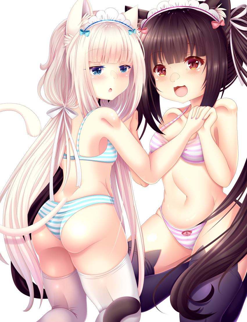 Chocola (Nekopara) Rule 34 Image