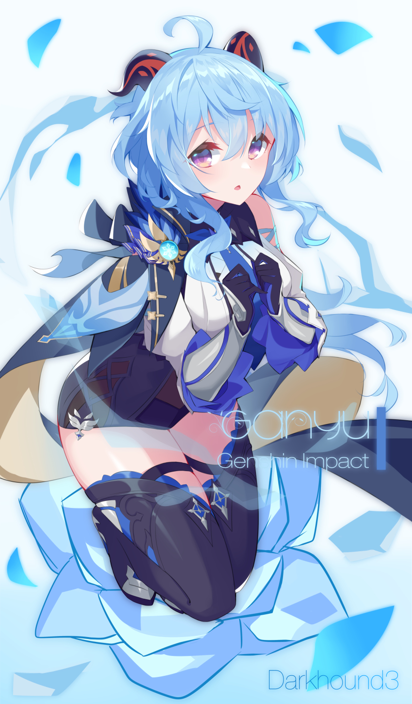 Eula (Genshin Impact) Rule 34 Image