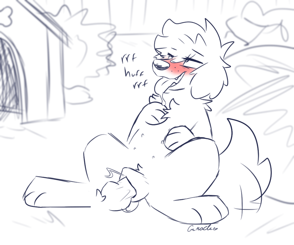 Gracie (Vixeyhuskybutt) Rule 34 Image