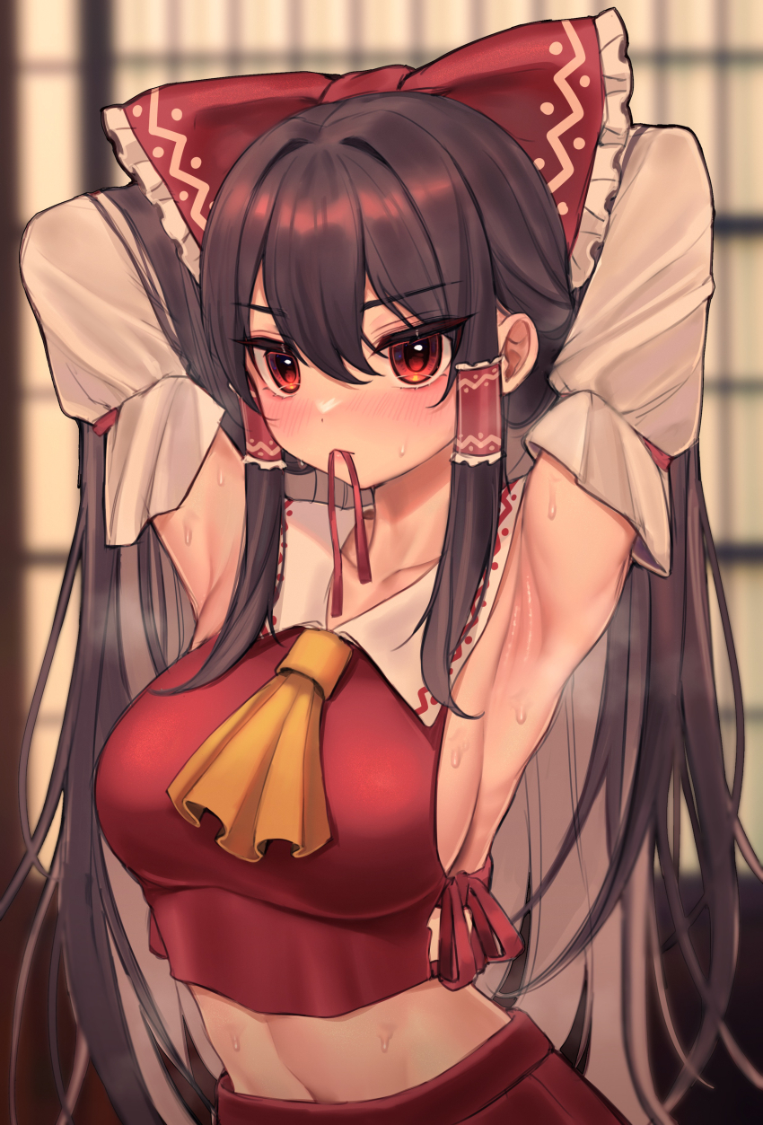 Hakurei Reimu (Touhou) Rule 34 Image