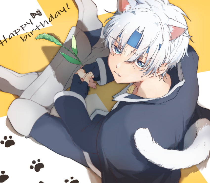 Schezo Wegey Rule 34 Image