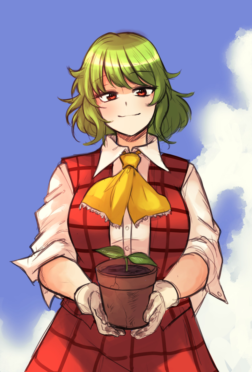 Kazami Yuuka (Touhou) Rule 34 Image