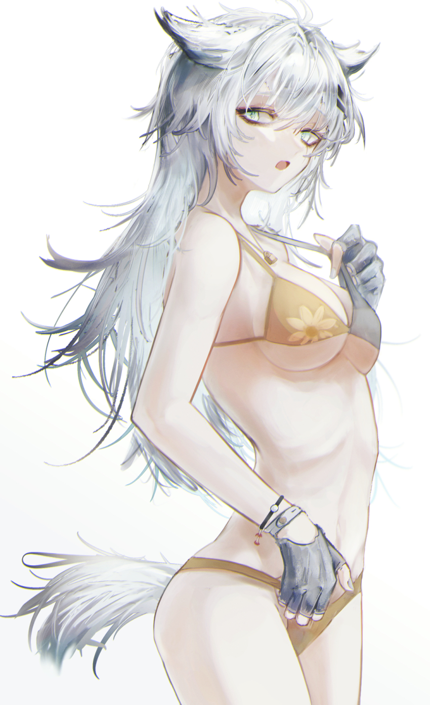Lappland (Arknights) Rule 34 Image